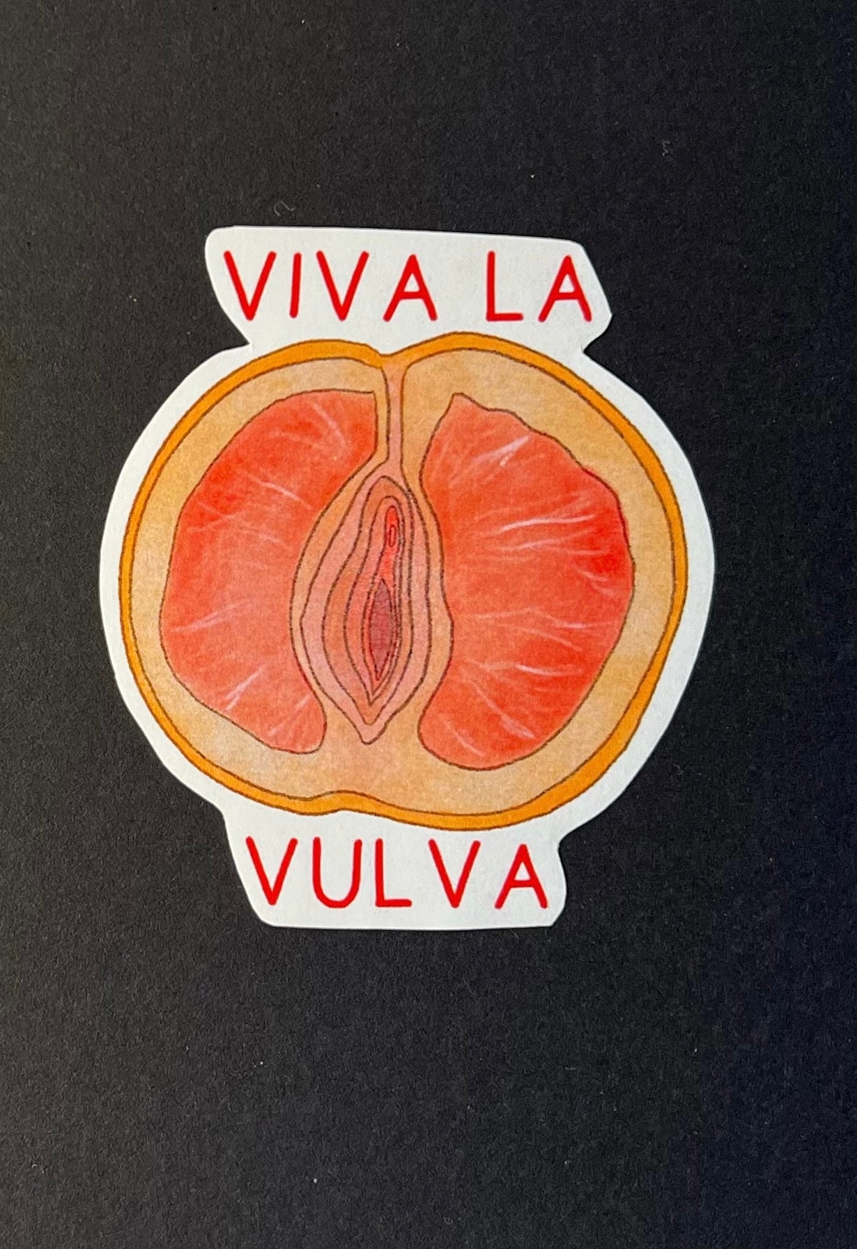 Sticker Protest Wasserfest